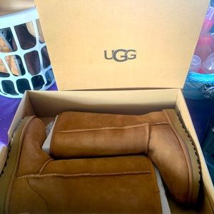 NIB Size 7 TALL CHESTNUT UGGS